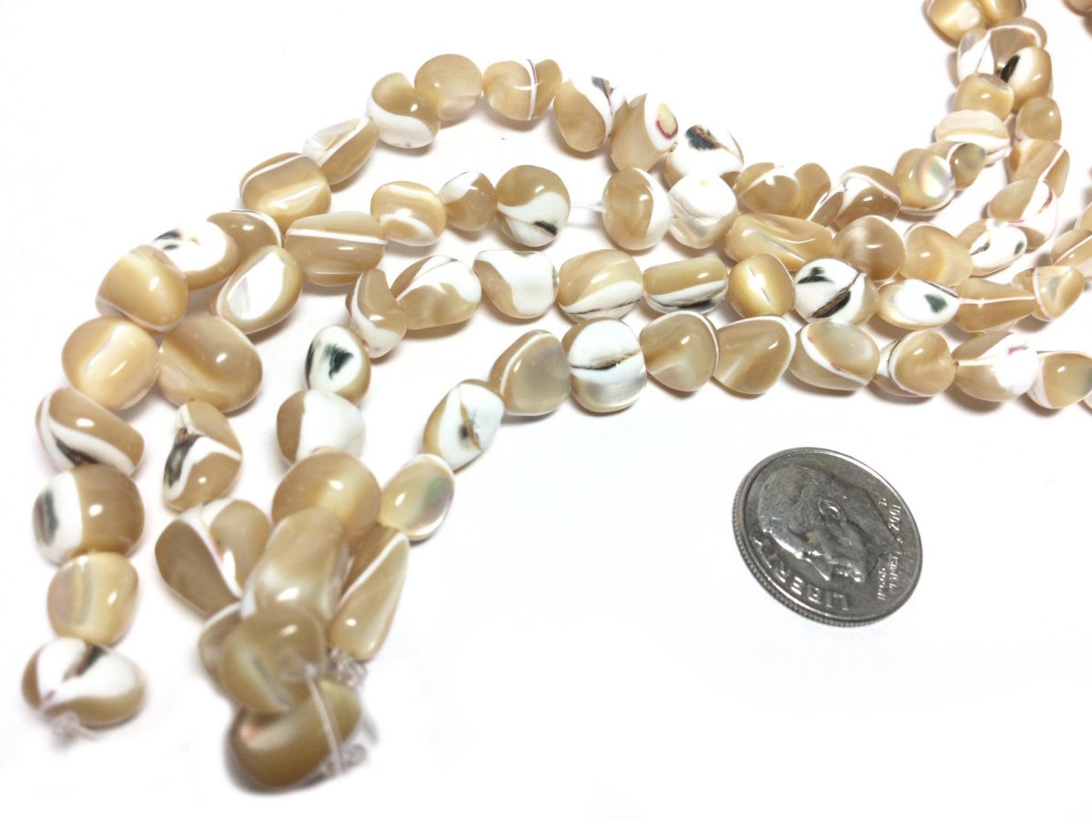 #2949 / Natural Trochid Polished Shell Nuggets / 3.5~13mm x 6~12mm x 3~8mm / Hole: 0.9mm / 8" Strand