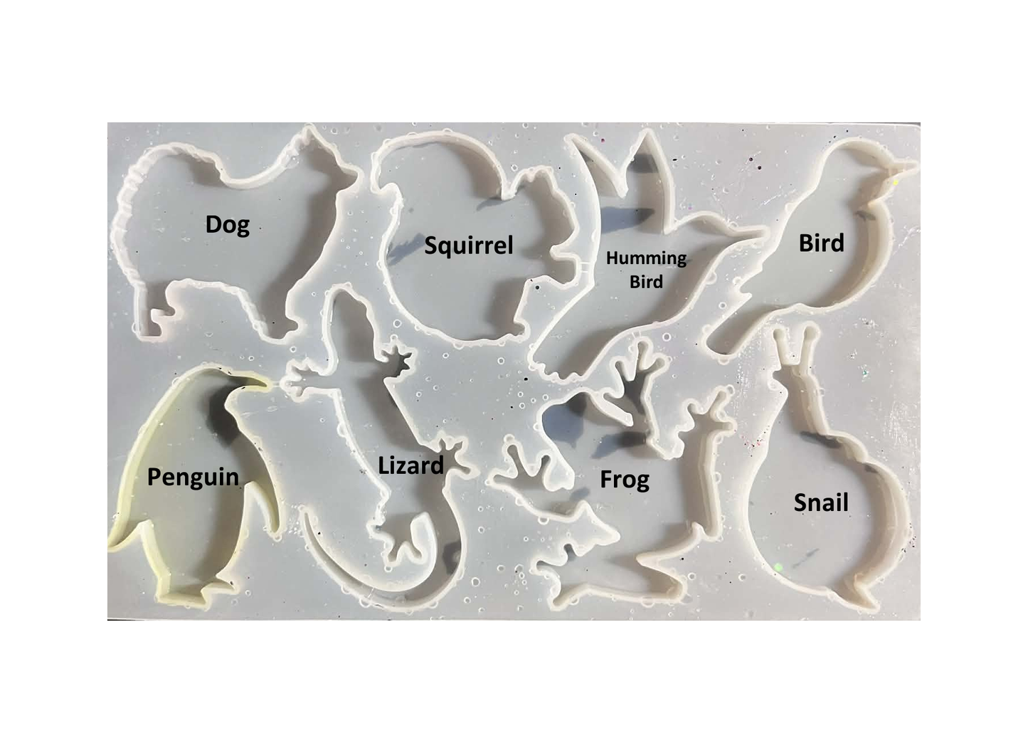 ORDER CUSTOM ANIMAL MAGNET